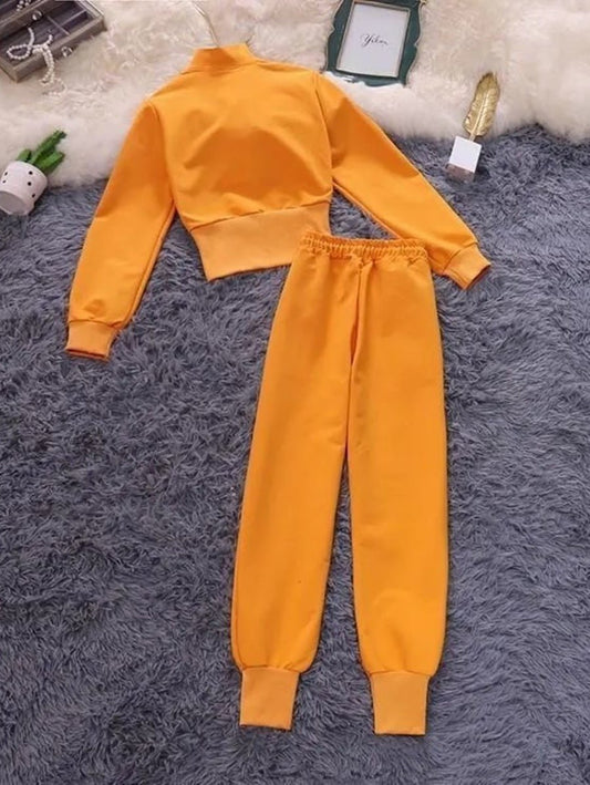 Stand collar high waist striped jacket and track pant set Periwinkley Shop