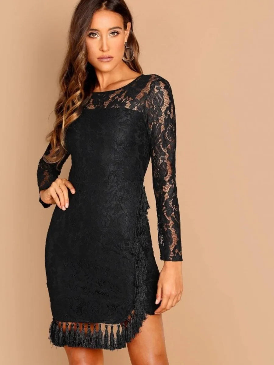 Sheer Yoke Tassel Detail Lace Dress Periwinkley Shop