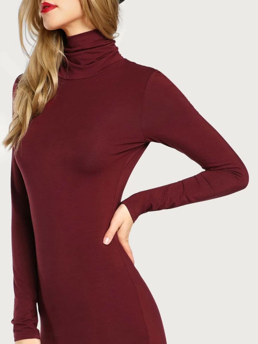 Turtle Neck Form Fitting Solid Dress Periwinkley Shop