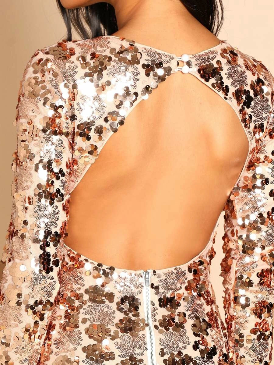 Open Back Sequin Bodycon Dress Periwinkley Shop