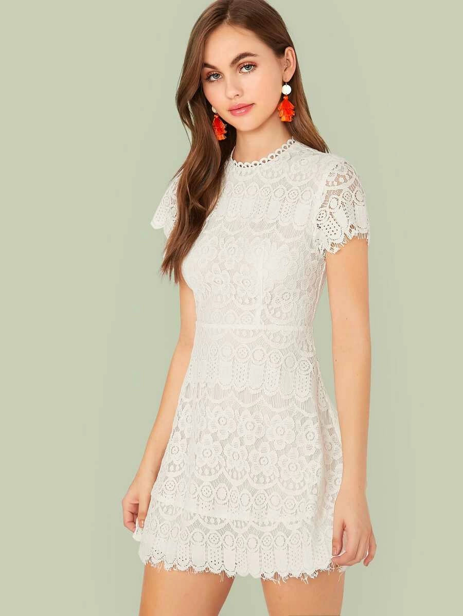 Solid Zip Back Fit and Flare Lace Dress Periwinkley Shop