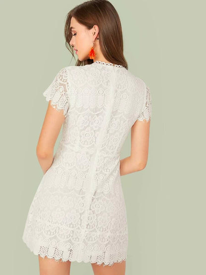 Solid Zip Back Fit and Flare Lace Dress Periwinkley Shop