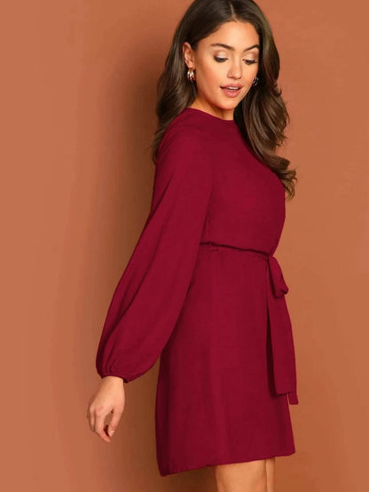 Blouson Sleeve Self Tie Dress Periwinkley Shop